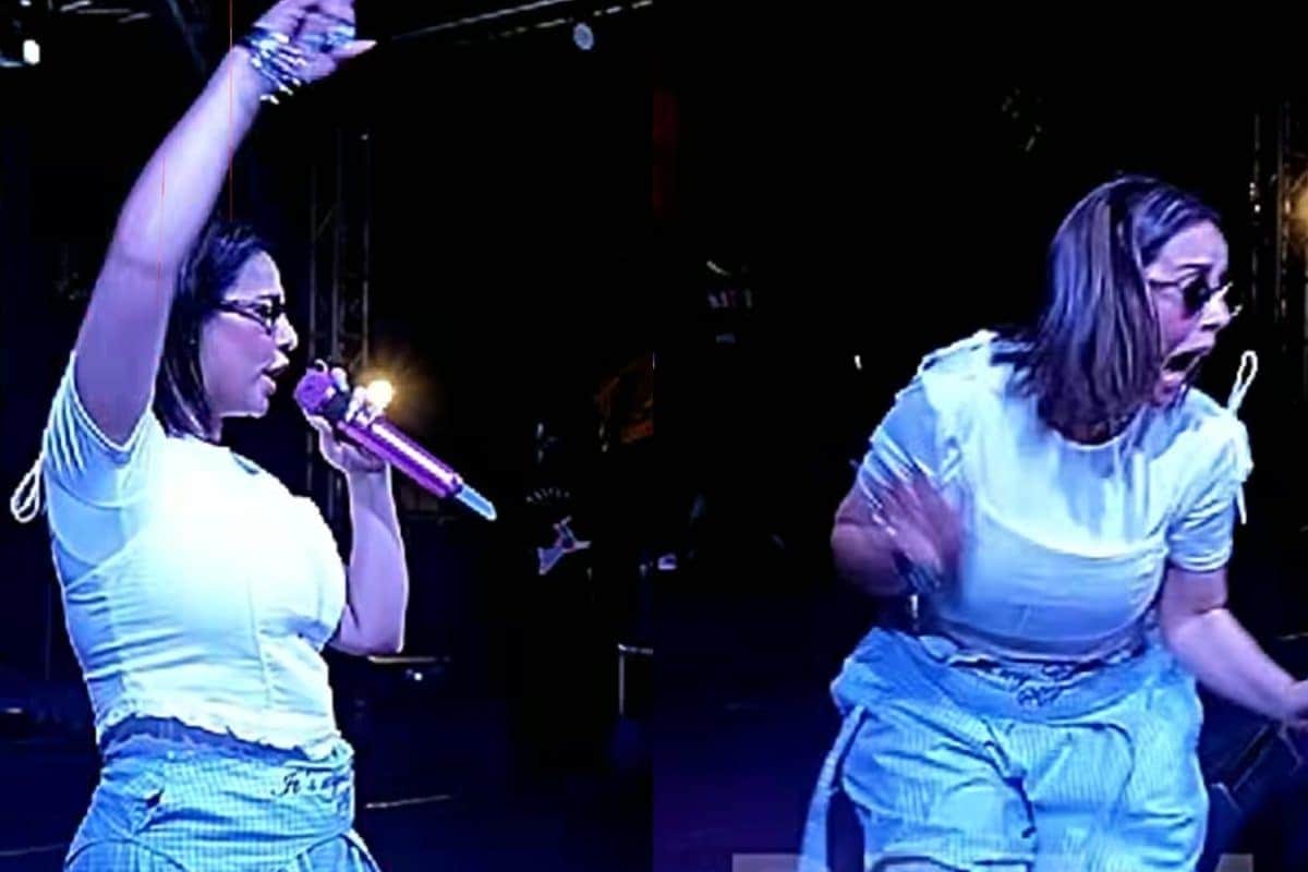 Sunanda Sharma Panics, Halts Ghaziabad Concert Midway After Fan Rushes To Stage. Watch