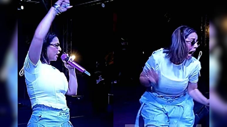 Sunanda Sharma Panics, Halts Ghaziabad Concert Midway After Fan Rushes To Stage. Watch