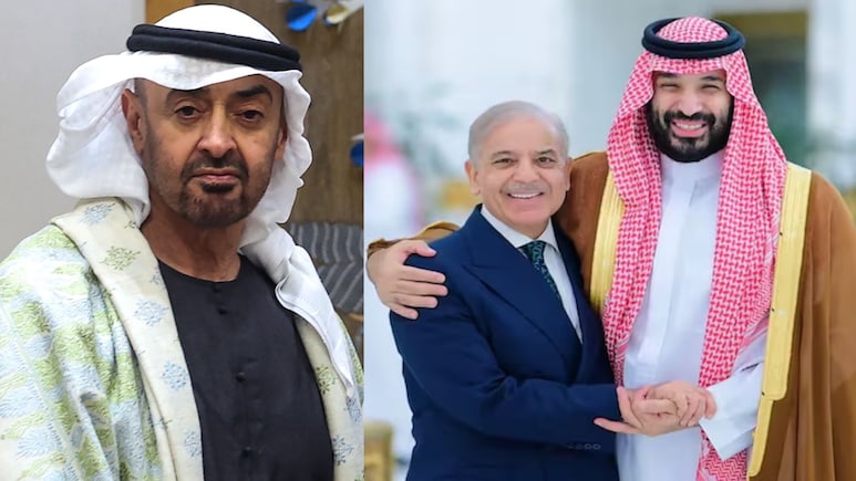 गल्फ में चल रही एक और लड़ाई, OPEC से बाहर निकलकर UAE ने सऊदी-पाकिस्तान को आंख दिखाई?