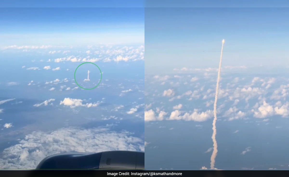 The Art of Baking: From Classic Bread to Artisan Pastries