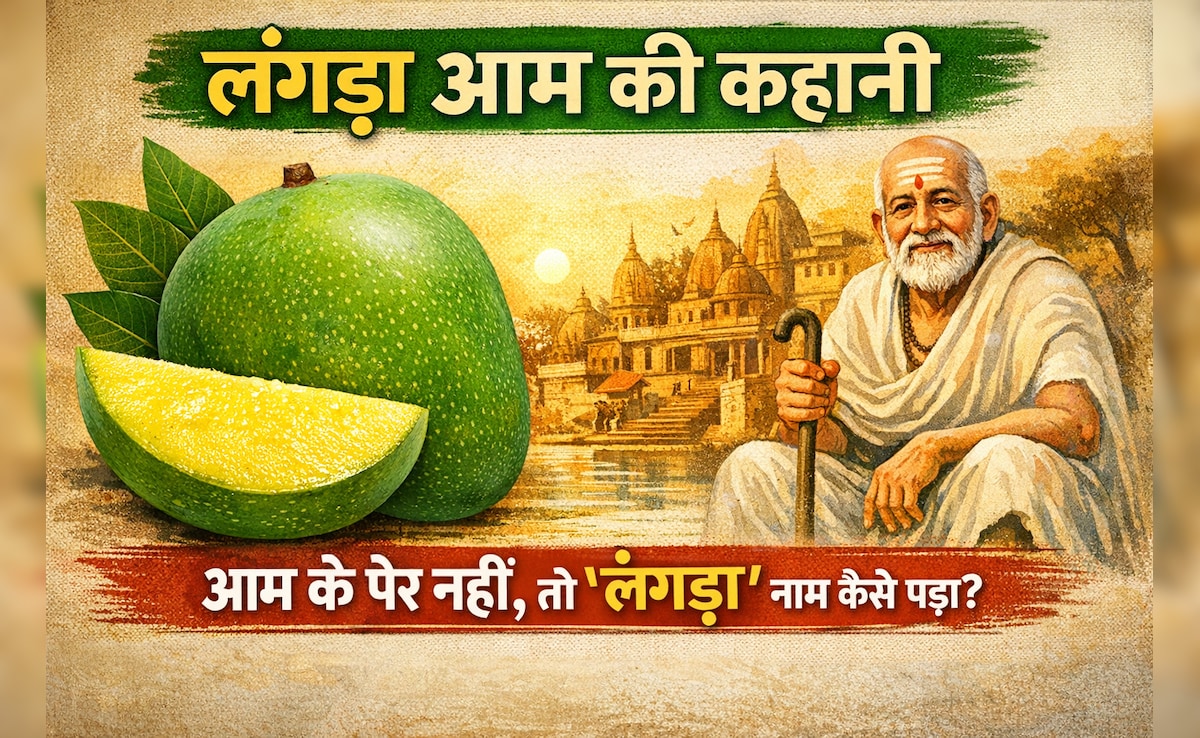 लंगड़ा आम की कहानी: जब आम के पैर नहीं होते, तो फिर ‘लंगड़ा’ नाम कैसे पड़ा?