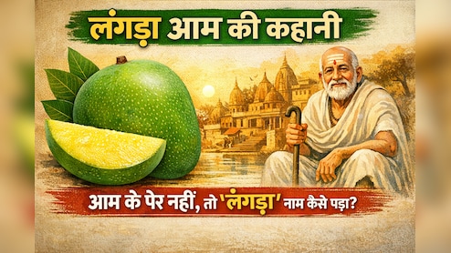 लंगड़ा आम की कहानी: जब आम के पैर नहीं होते, तो फिर 'लंगड़ा' नाम कैसे पड़ा?
