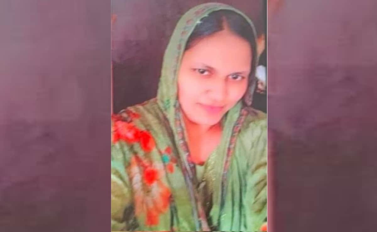 'Khawateen' Group, Zakir Naik Speeches: Pak-Linked Module's India Ops