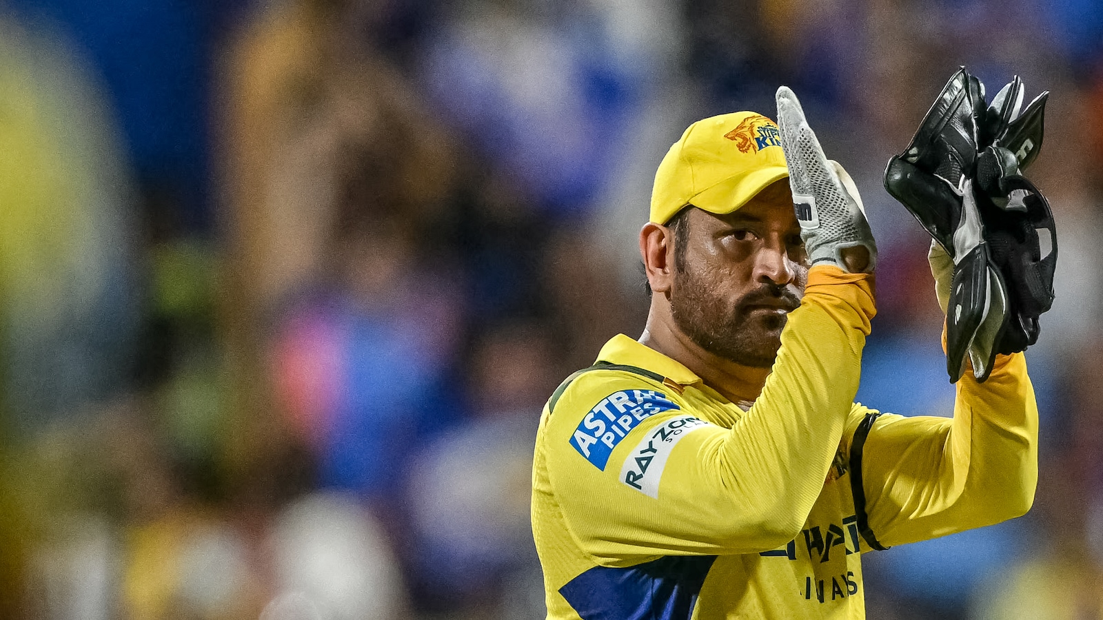 MS Dhoni Wanted 25 Per Cent Stake Of CSK? Blunt Verdict Dropped On Report By Ex-KKR Star
