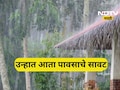 Weather Update: उन्हात आता पावसाचे सावट; 'या' जिल्ह्यांना वादळी वाऱ्यासह पावसाचा 'यलो अलर्ट'