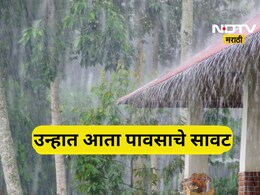 Weather Update: उन्हात आता पावसाचे सावट; 'या' जिल्ह्यांना वादळी वाऱ्यासह पावसाचा 'यलो अलर्ट'