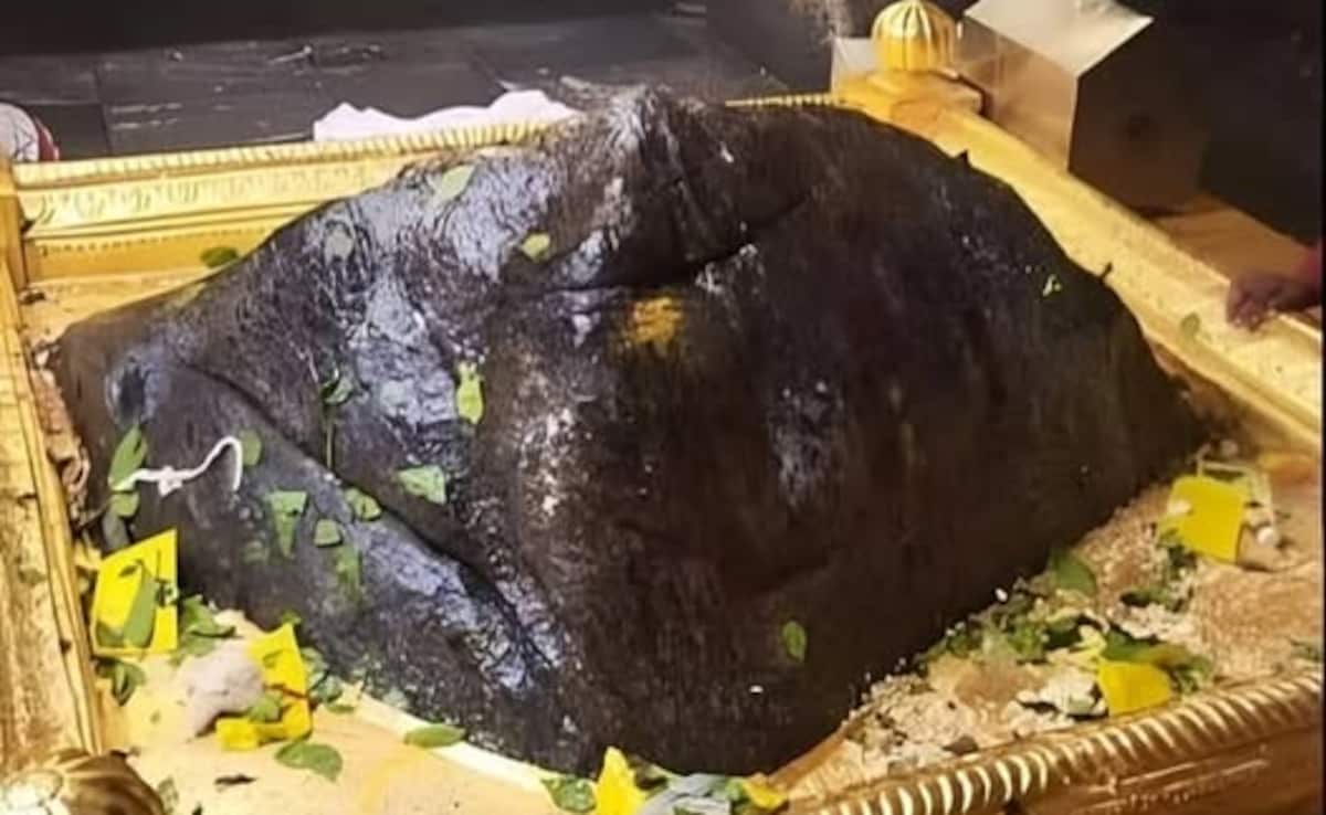 Facebook@Mahakaleshwar Daily Darshan