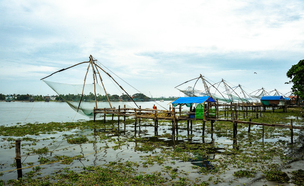 Latest and Breaking News on NDTV