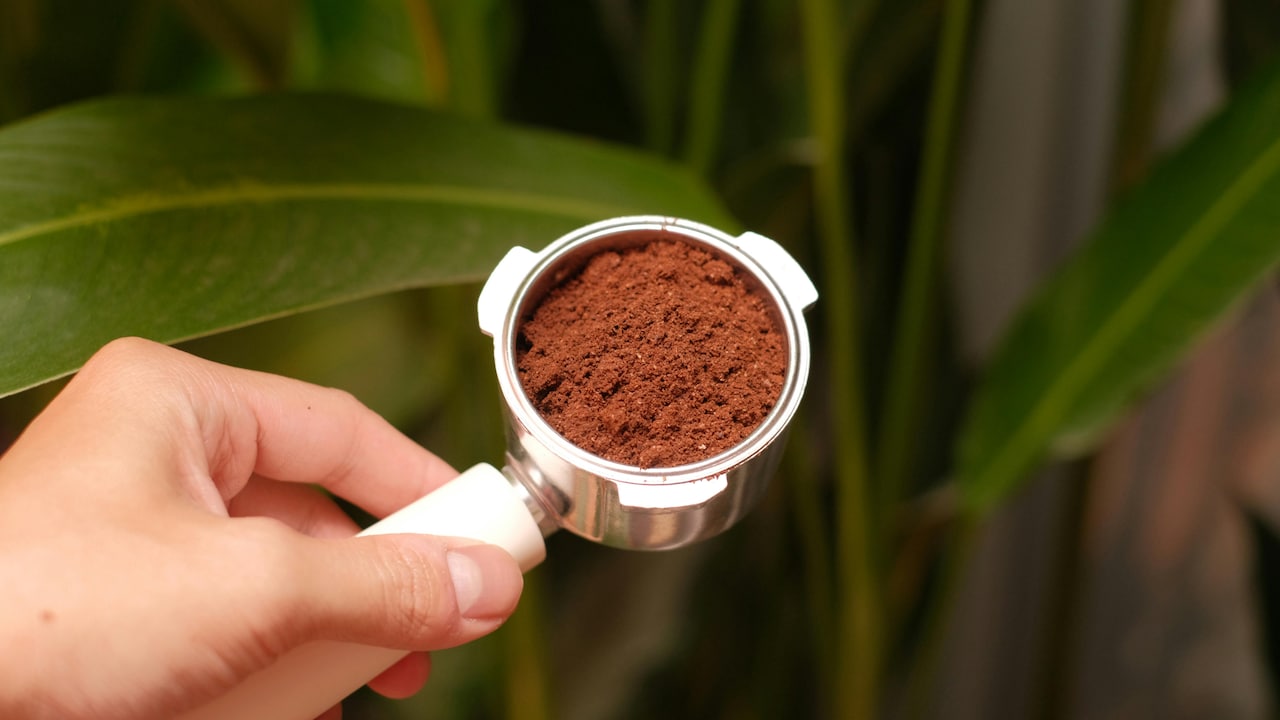 Premium coffee powder options to create rich cafe-style beverages at home
