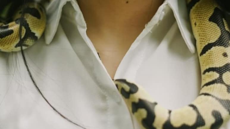 In Unusual Family Business, China Woman Earns Rs 1.35 Crore Raising 60,000 Venomous Snakes