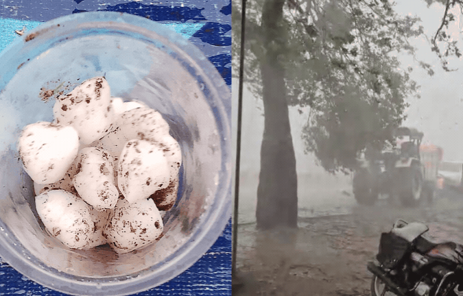 MP Hailstorm: एमपी में गिरे नींबू के आकार के ओले! सड़कों पर बिछी सफेद चादर, ग्वालियर में टूटा 50 साल का रिकॉर्ड