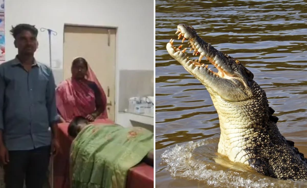 जान की बाजी लगाकर पिता ने मगरमच्छ के जबड़े से बेटे को बचाया