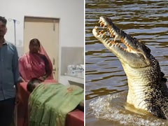 जान की बाजी लगाकर पिता ने मगरमच्छ के जबड़े से बेटे को बचाया