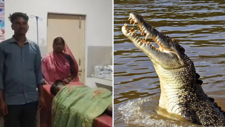 जान की बाजी लगाकर पिता ने मगरमच्छ के जबड़े से बेटे को बचाया