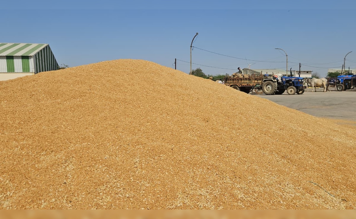 Latest and Breaking News on NDTV Latest and Breaking News on NDTV