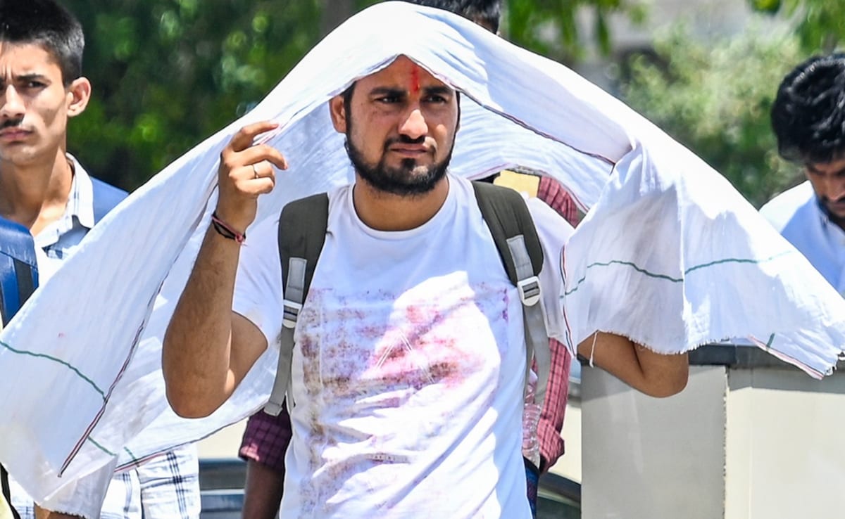 The Art of Baking: From Classic Bread to Artisan Pastries