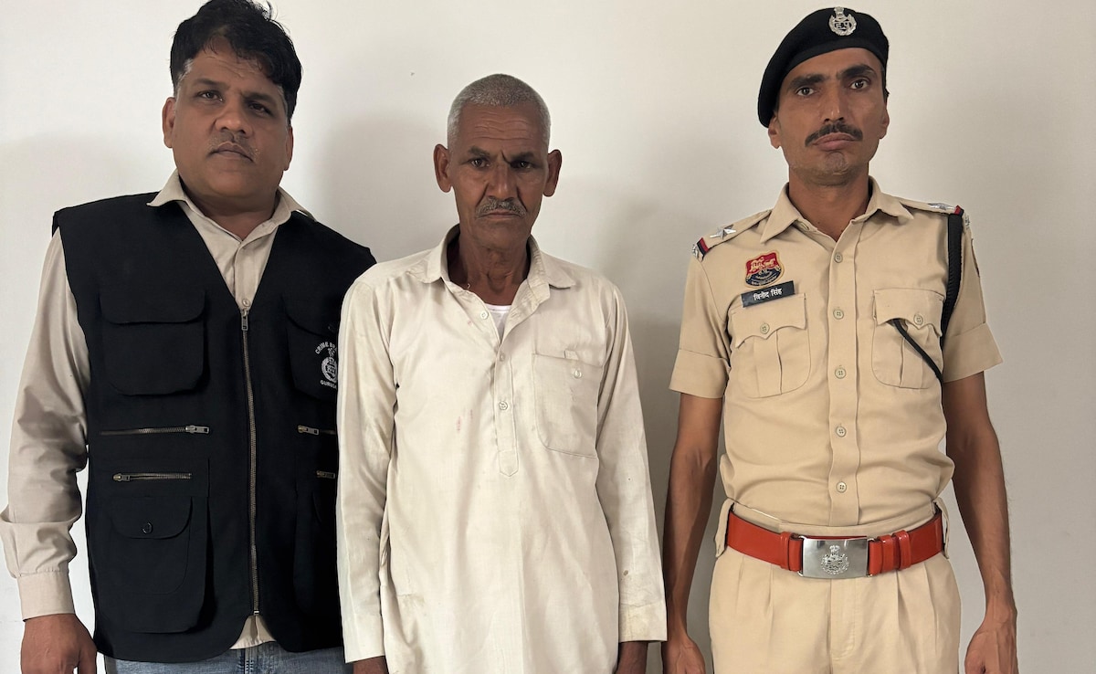 The Art of Baking: From Classic Bread to Artisan Pastries