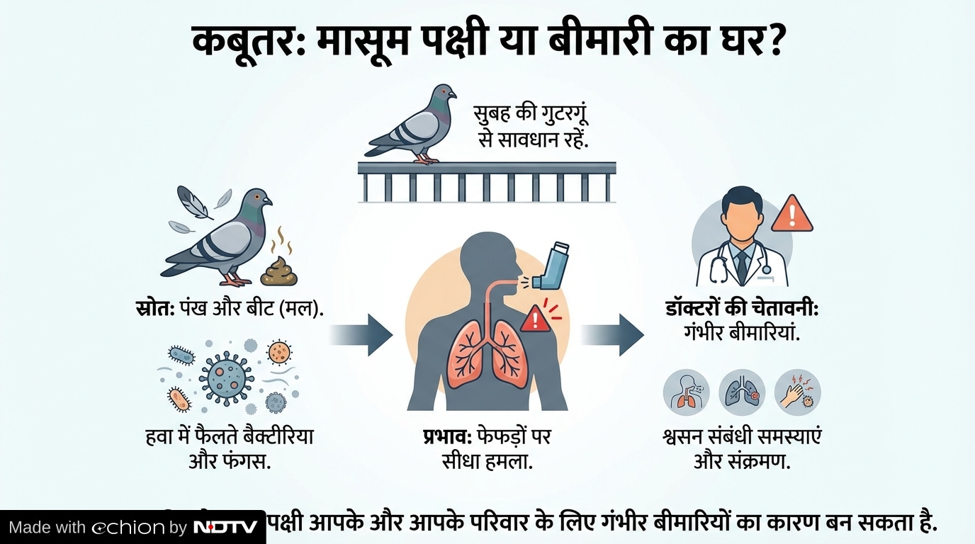 Latest and Breaking News on NDTV