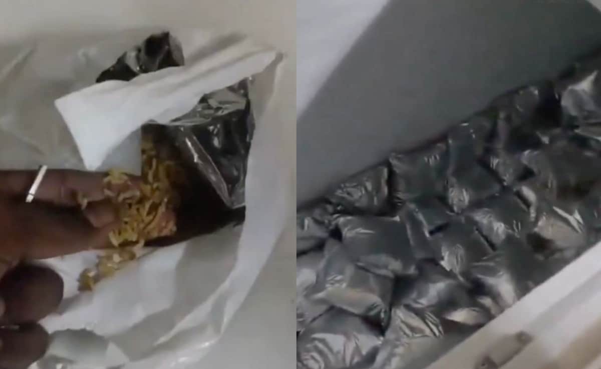 Stale Biryani Refrigerated For Several Days Allegedly Sold In Hyderabad, Restaurant Sealed