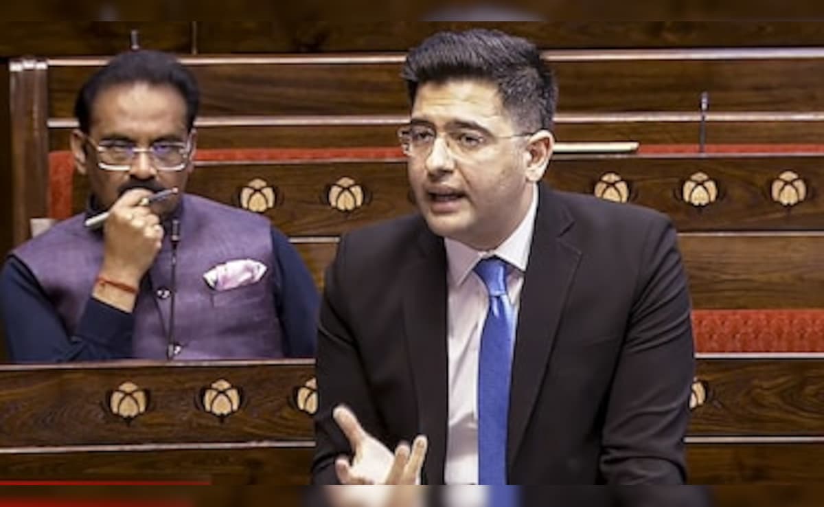 Raghav Chadha To Float New Political Party? AAP Leader Drops Hint