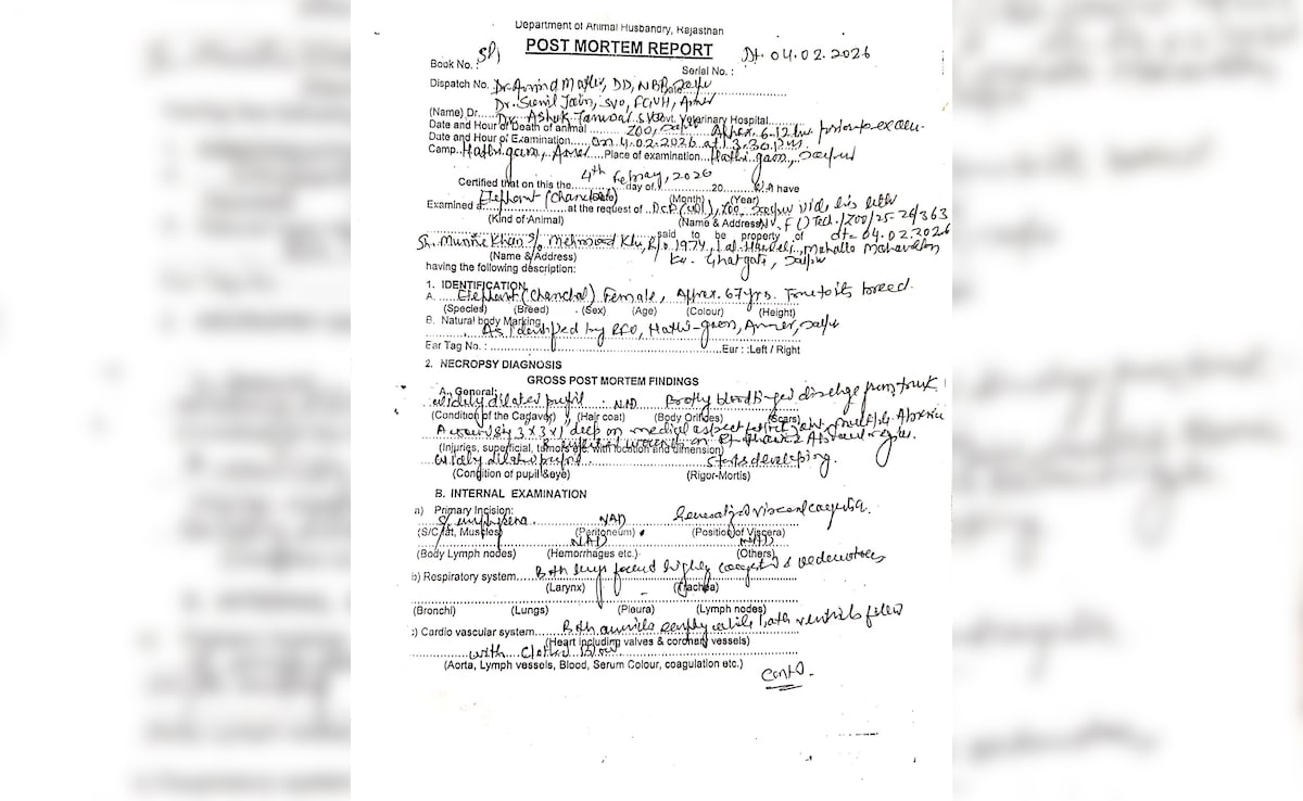 Latest and Breaking News on NDTV Latest and Breaking News on NDTV