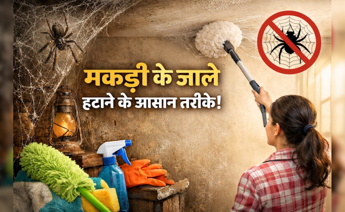 घर और किचन में बार-बार लग जाता है मकड़ी का जाला, तो अपनाएं ये घरेलू उपाय