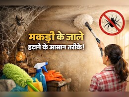 घर और किचन में बार-बार लग जाता है मकड़ी का जाला, तो अपनाएं ये घरेलू उपाय