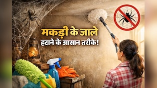 घर और किचन में क्यों लगते हैं मकड़ी के जाले? स्प्रे नहीं, इन घरेलू तरीकों से हटाएं मकड़ी के जाले
