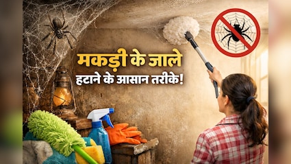 घर और किचन में बार-बार लग जाता है मकड़ी का जाला, तो अपनाएं ये घरेलू उपाय