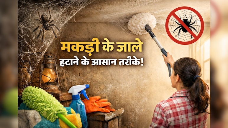 घर और किचन में बार-बार लग जाता है मकड़ी का जाला, तो अपनाएं ये घरेलू उपाय