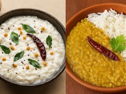 Curd Rice vs Dal Chawal, Which One Is Better For Gut Health?