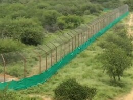 रणथंभौर में टूरिज्म को मिलेगा बूस्टर! नए टाइगर सफारी पार्क के लिए राजस्थान सरकार ने केंद्र को भेजा प्रस्ताव