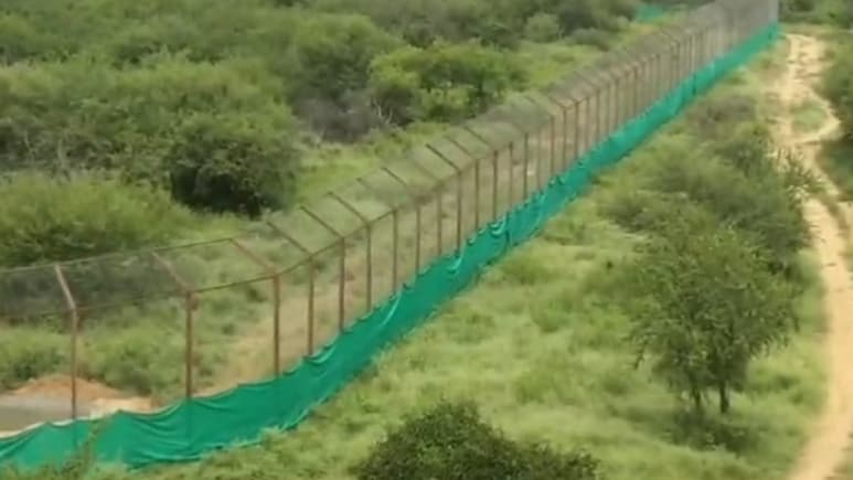 रणथंभौर में टूरिज्म को मिलेगा बूस्टर! नए टाइगर सफारी पार्क के लिए राजस्थान सरकार ने केंद्र को भेजा प्रस्ताव