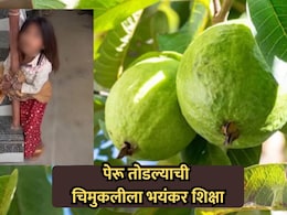 Viral Video : "अंकल वाचवा, अंकल सोडवा..." पेरू तोडल्याची चिमुकलीला भयंकर शिक्षा, माजी सैनिकाला बेड्या