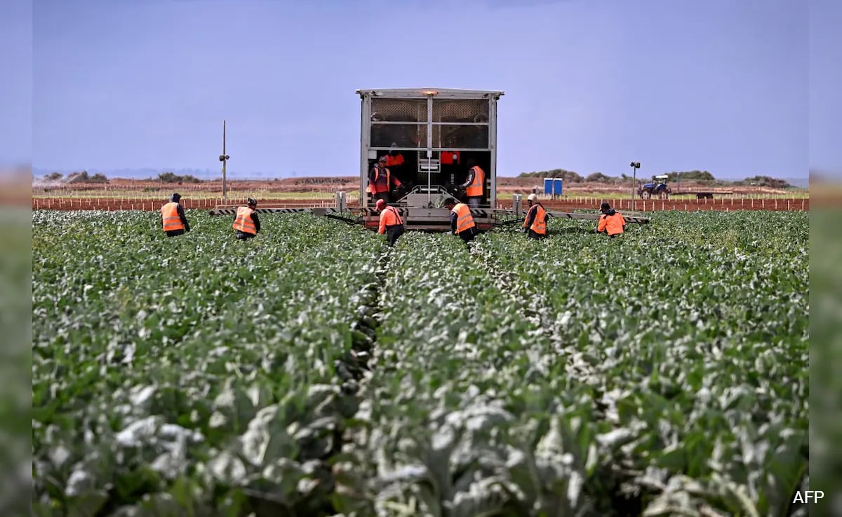 Strait Of Hormuz Closure Could Soon Be Felt On Dinner Tables Worldwide