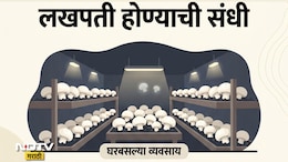Business Idea: घरातल्या अंधाऱ्या खोलीत करा पांढऱ्या सोन्याची शेती, दर महिन्याला 1 लाख रुपयांपर्यंत येईल कमाई