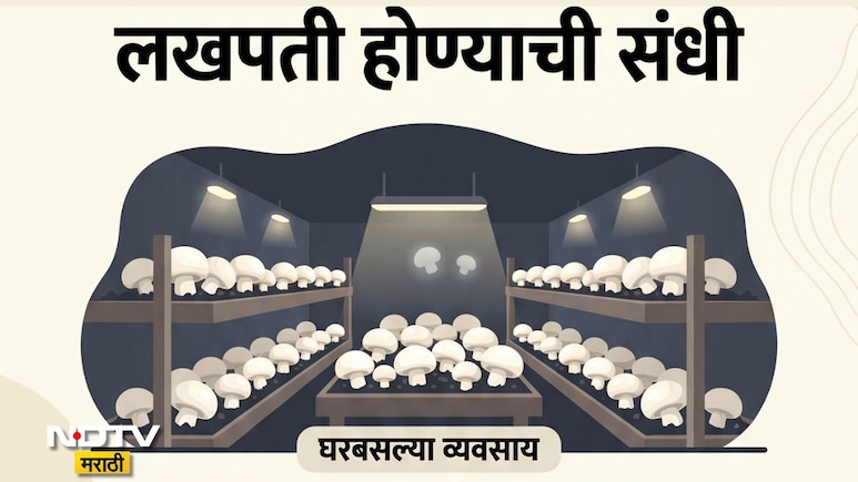Business Idea: घरातल्या अंधाऱ्या खोलीत करा पांढऱ्या सोन्याची शेती, दर महिन्याला 1 लाख रुपयांपर्यंत येईल कमाई