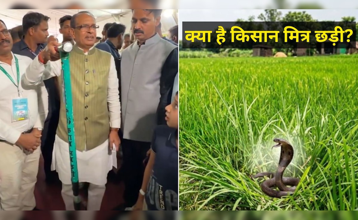 क्या है किसान मित्र छड़ी? खेत में सांप और जहरीले जीव दिखते ही इस तरह करेगी काम, किसानों की सुरक्षा के लिए कमाल की तकनीक