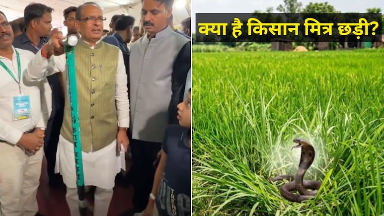 क्या है किसान मित्र छड़ी? खेत में सांप और जहरीले जीव दिखते ही इस तरह करेगी काम, किसानों की सुरक्षा के लिए कमाल की तकनीक