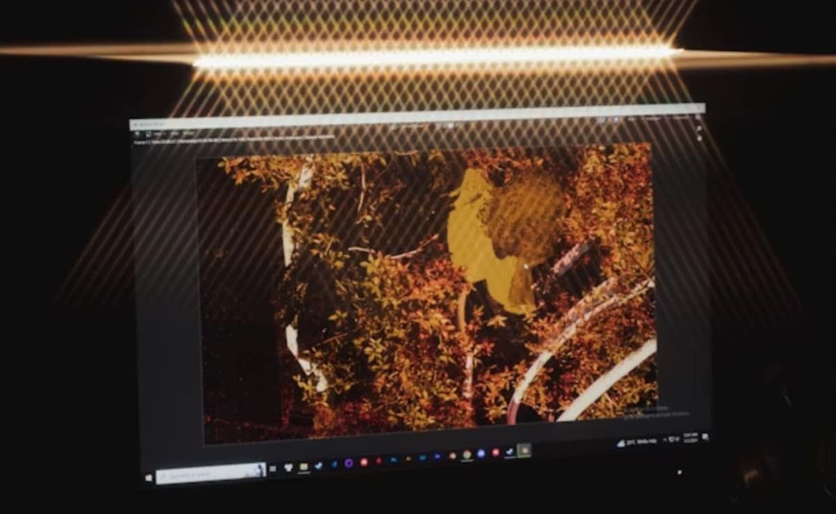 Latest and Breaking News on NDTV Latest and Breaking News on NDTV