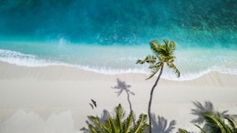 Viral Video Claims Maldives Tourism Down By 90% Amid Iran War. What Official Data Says