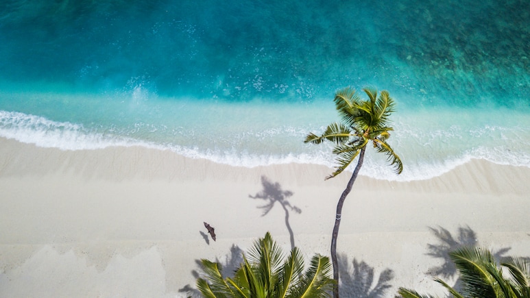 Viral Video Claims Maldives Tourism Down By 90% Amid Iran War. What Official Data Says