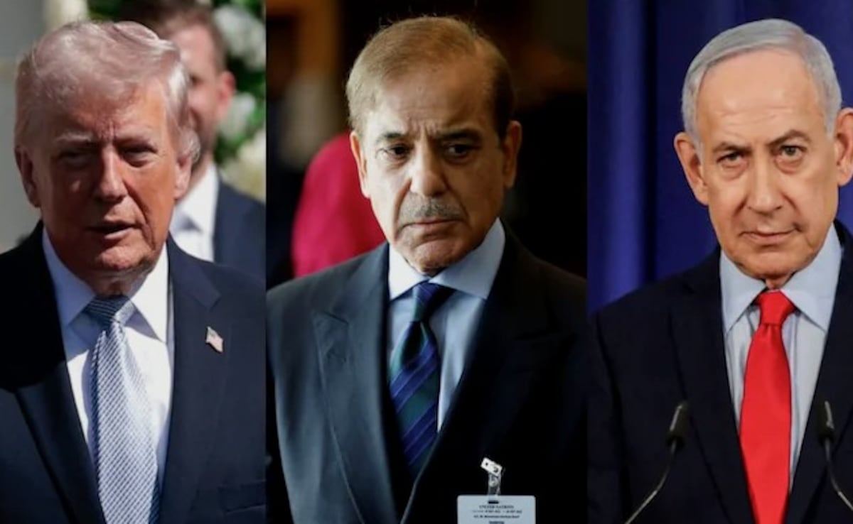 "We Don't Trust Pak": Israel Envoy Says US Also Sees Country Only As Middleman