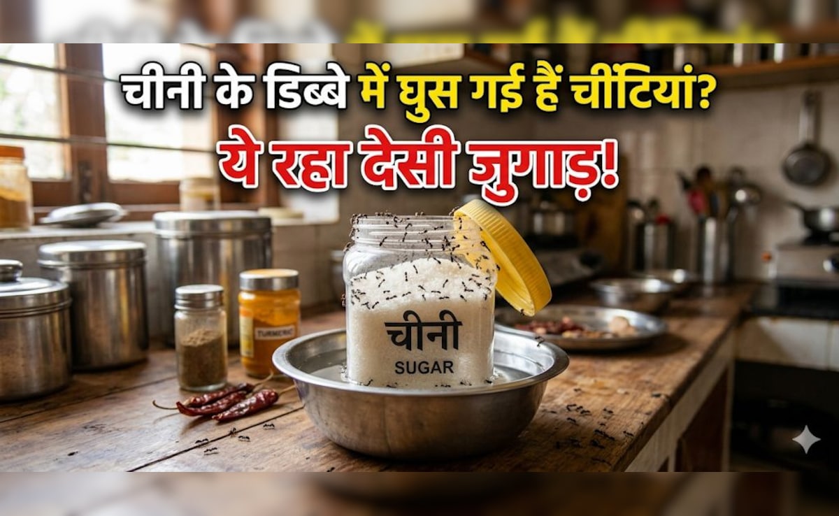 चीनी के डिब्बे में घुस गई हैं चींटियां? इस 1 देसी जुगाड़ से आस-पास नहीं भटकेंगी चींटियां!