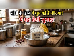 चीनी के डिब्बे में घुस गई हैं चींटियां? इस 1 देसी जुगाड़ से आस-पास नहीं भटकेंगी चींटियां!