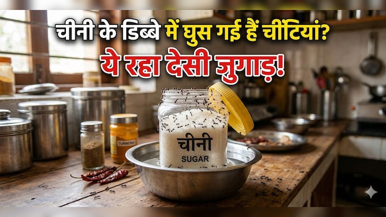 चीनी के डिब्बे में घुस गई हैं चींटियां? इस 1 देसी जुगाड़ से आस-पास नहीं भटकेंगी चींटियां!