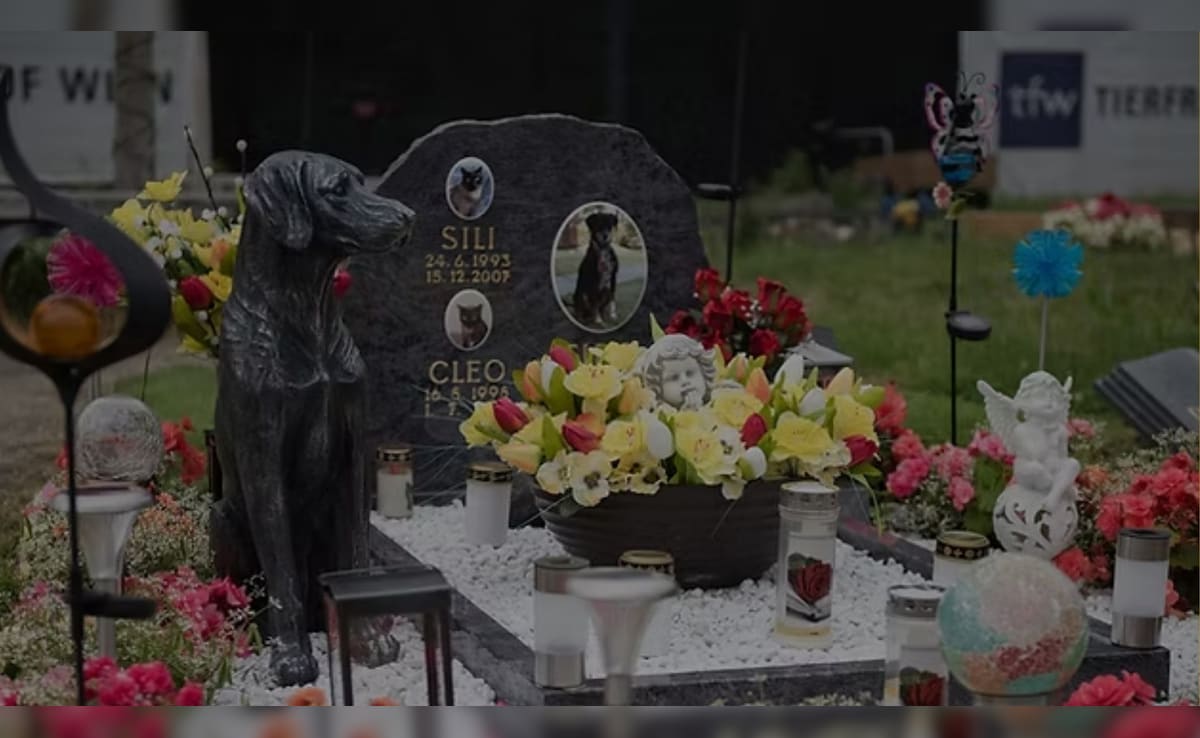 इस देश में पालतू जानवरों के लिए कब्रिस्तान, खूब सारा पैसा खर्च कर किया जाता है अंतिम संस्कार