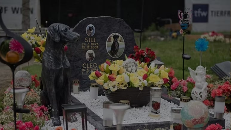 इस देश में पालतू जानवरों के लिए कब्रिस्तान, खूब सारा पैसा खर्च कर किया जाता है अंतिम संस्कार