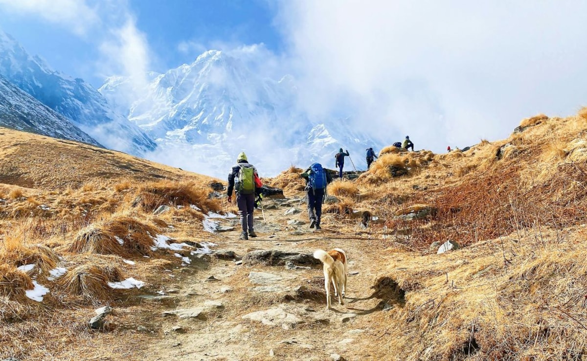 Latest and Breaking News on NDTV Latest and Breaking News on NDTV