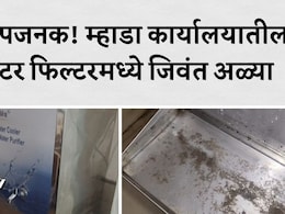 Mhada Office: म्हाडाच्या वांद्रे कार्यालयात खळबळ; पिण्याच्या पाण्यात जिवंत अळ्या पाहून कर्मचाऱ्यांची उडाली झोप